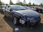 2014 Lexus Es 350 Gray vin: JTHBK1GG1E2085159