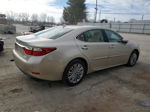 2014 Lexus Es 350 Бежевый vin: JTHBK1GG2E2087163