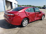 2014 Lexus Es 350 Red vin: JTHBK1GG2E2128682