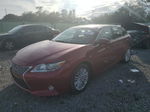 2014 Lexus Es 350 Red vin: JTHBK1GG3E2105881