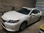 2015 Lexus Es 350 Белый vin: JTHBK1GG3F2205108