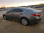 2014 Lexus Es 350 Charcoal vin: JTHBK1GG4E2138596