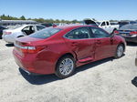 2015 Lexus Es 350 Burgundy vin: JTHBK1GG4F2201228