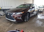 2016 Lexus Es 350 Brown vin: JTHBK1GG4G2215552