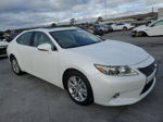 2013 Lexus Es 350 Белый vin: JTHBK1GG5D2035895