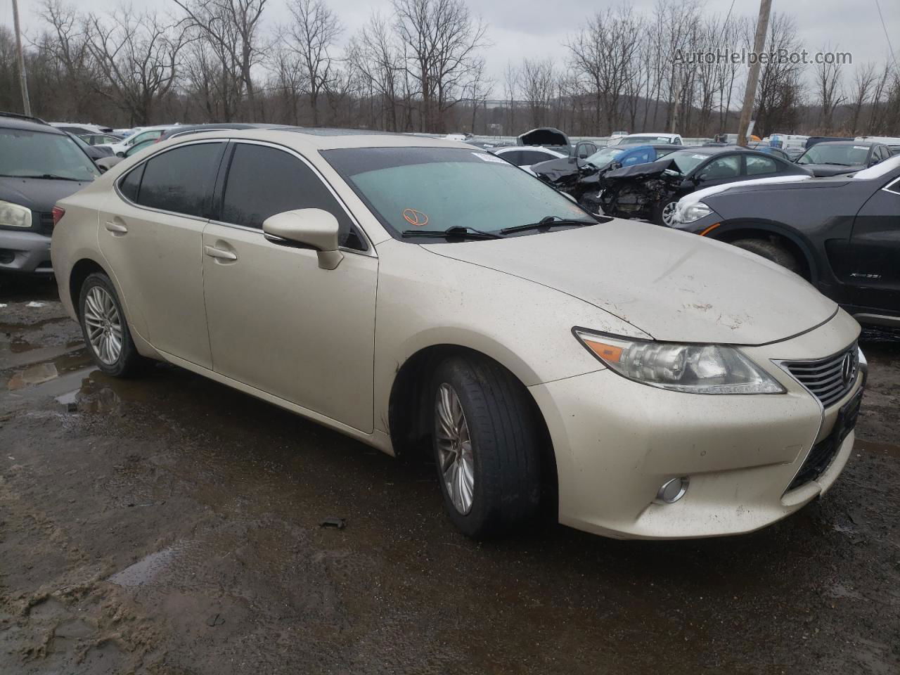 2013 Lexus Es 350 Gold vin: JTHBK1GG5D2056441