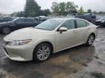 2014 Lexus Es 350 Gold vin: JTHBK1GG5E2106658