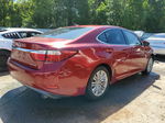 2014 Lexus Es 350 Red vin: JTHBK1GG6E2125087