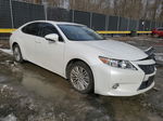 2015 Lexus Es 350 Белый vin: JTHBK1GG6F2156499