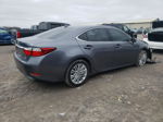 2014 Lexus Es 350 Gray vin: JTHBK1GG7E2117967