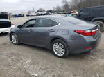 2014 Lexus Es 350 Gray vin: JTHBK1GG7E2117967