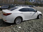 2015 Lexus Es 350 Белый vin: JTHBK1GG7F2187342