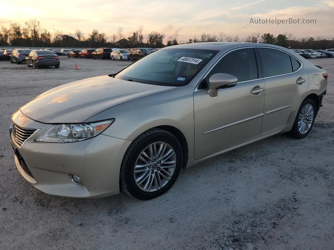 2015 Lexus Es 350 Gold vin: JTHBK1GG8F2168704