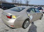 2014 Lexus Es 350 Gold vin: JTHBK1GG9E2088004