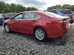 2014 Lexus Es 350 Red vin: JTHBK1GG9E2098547