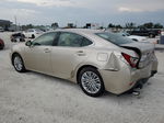 2013 Lexus Es 350 Beige vin: JTHBK1GGXD2021913