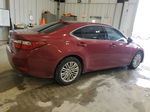 2014 Lexus Es 350 Red vin: JTHBK1GGXE2091087