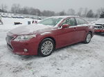 2014 Lexus Es 350 Red vin: JTHBK1GGXE2129871