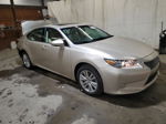 2014 Lexus Es 350 Beige vin: JTHBK1GGXE2142507