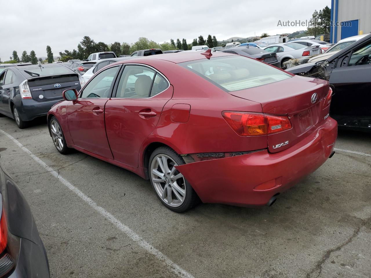 2007 Lexus Is 250 Burgundy vin: JTHBK262175044589