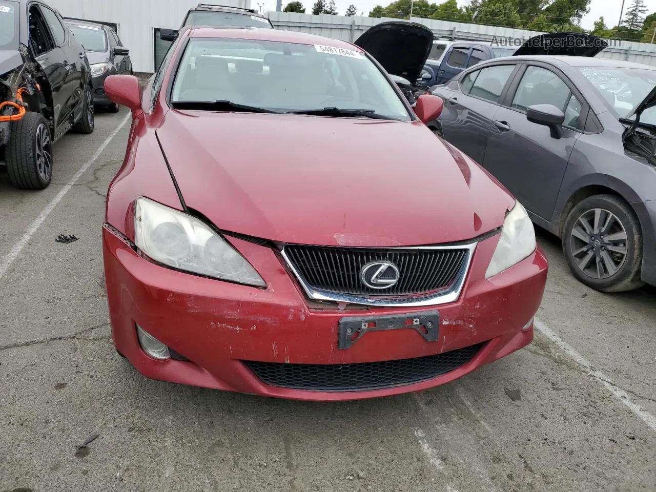 2007 Lexus Is 250 Burgundy vin: JTHBK262175044589