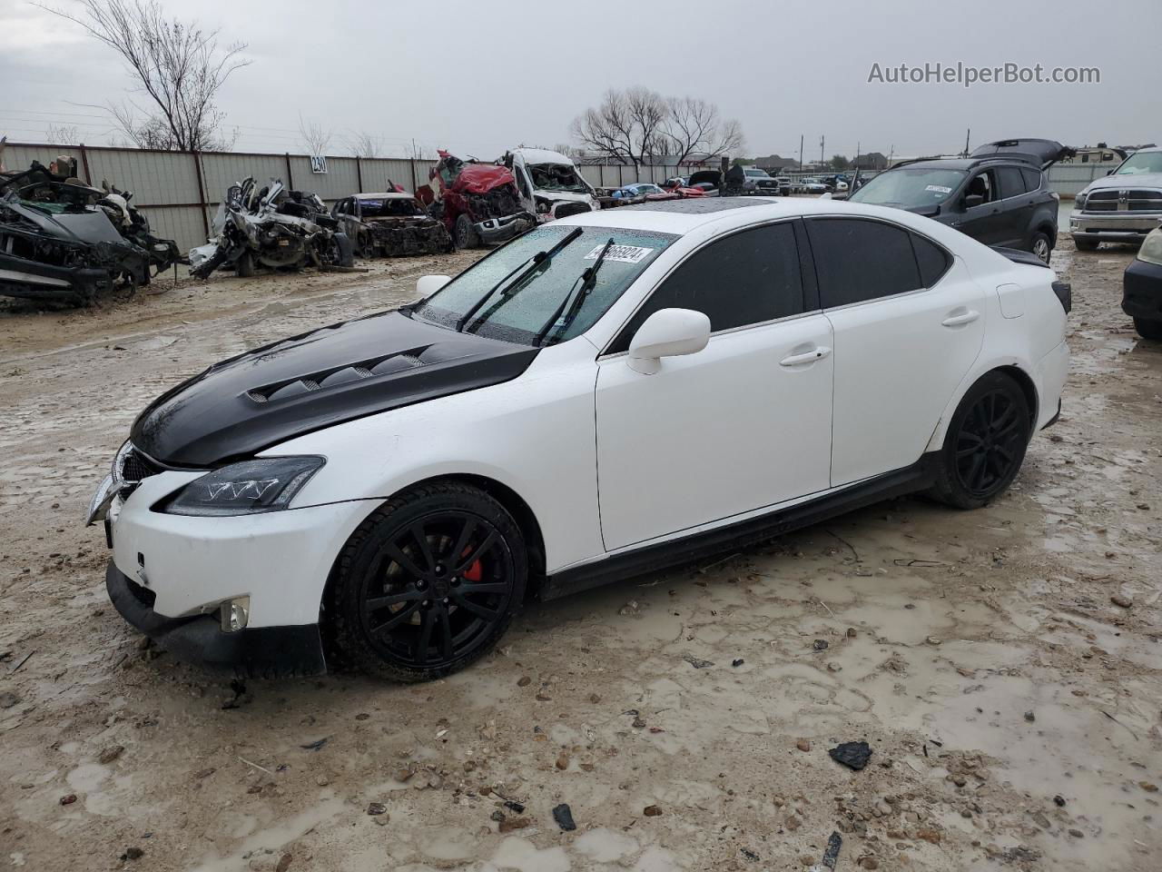 2007 Lexus Is 250 Белый vin: JTHBK262375046568