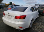 2007 Lexus Is 250 White vin: JTHBK262475044649