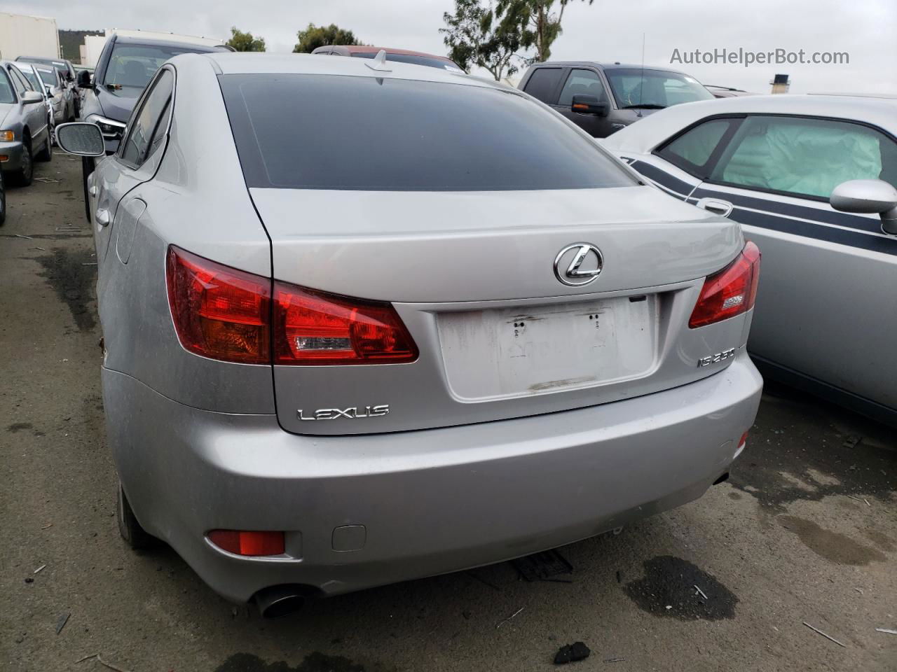 2007 Lexus Is 250 Серый vin: JTHBK262572029188