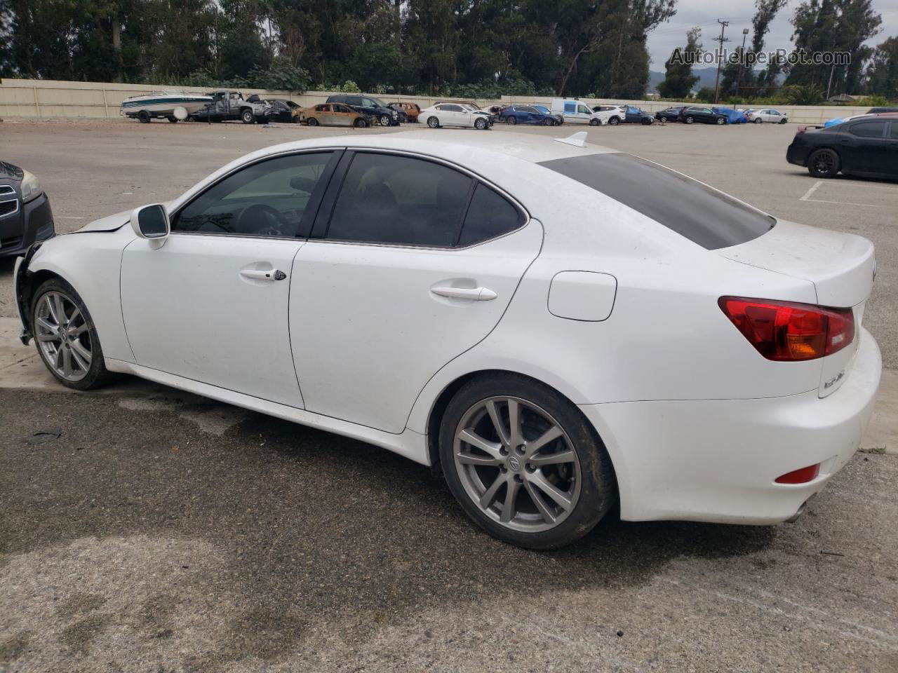 2007 Lexus Is 250 White vin: JTHBK262572052843