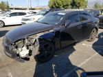 2007 Lexus Is 250 Blue vin: JTHBK262672027238