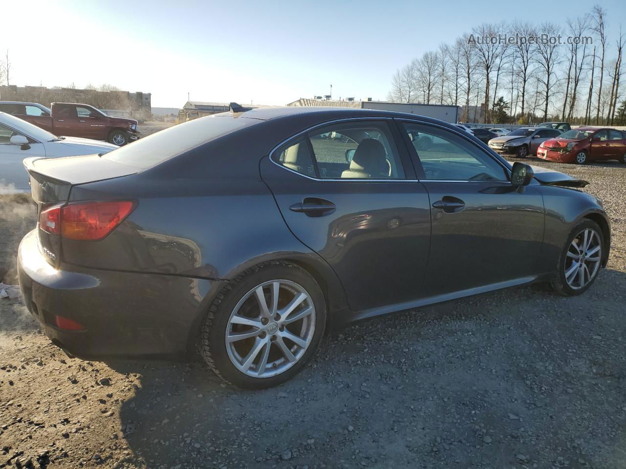 2007 Lexus Is 250 Gray vin: JTHBK262875047831