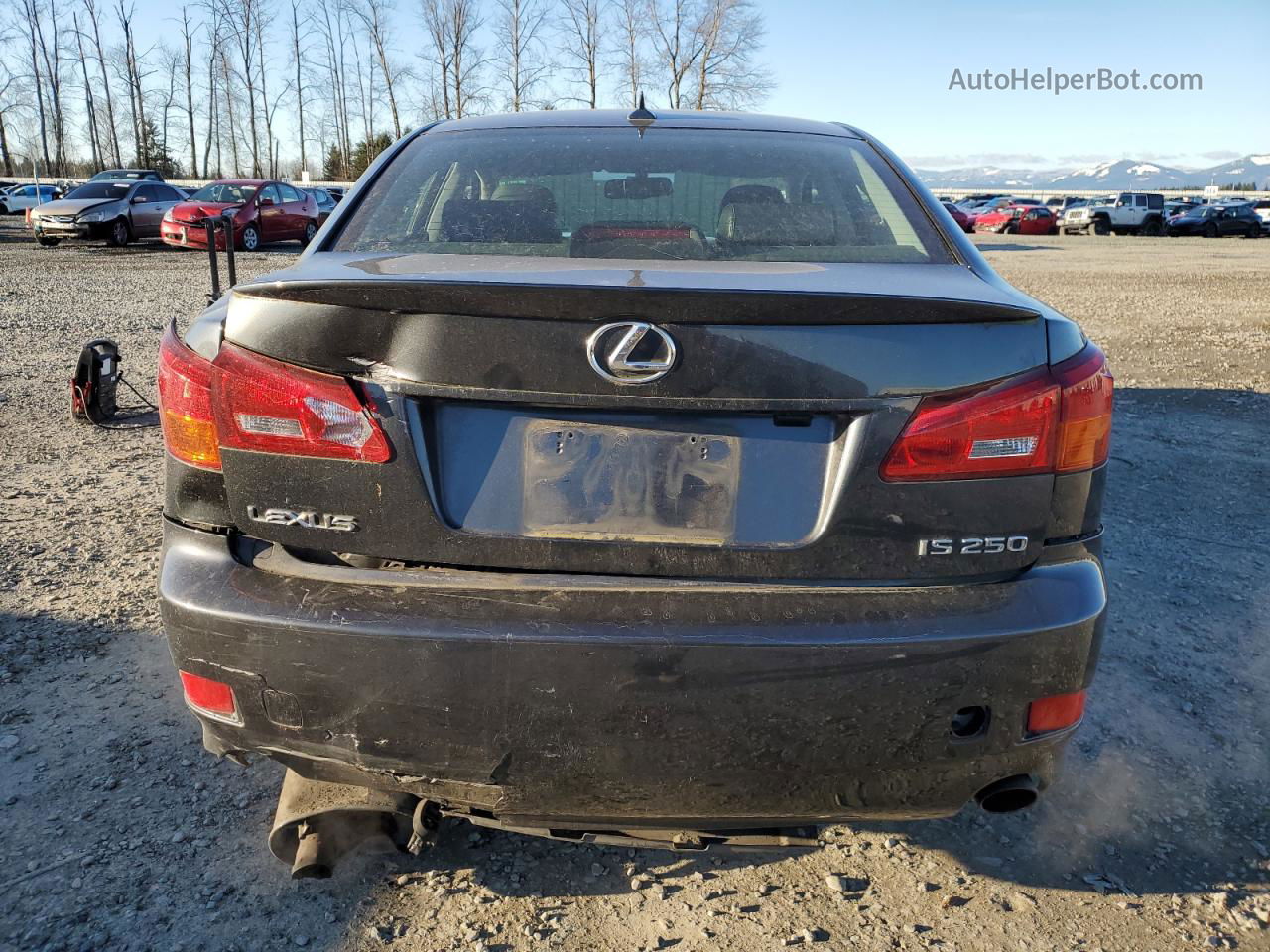 2007 Lexus Is 250 Gray vin: JTHBK262875047831