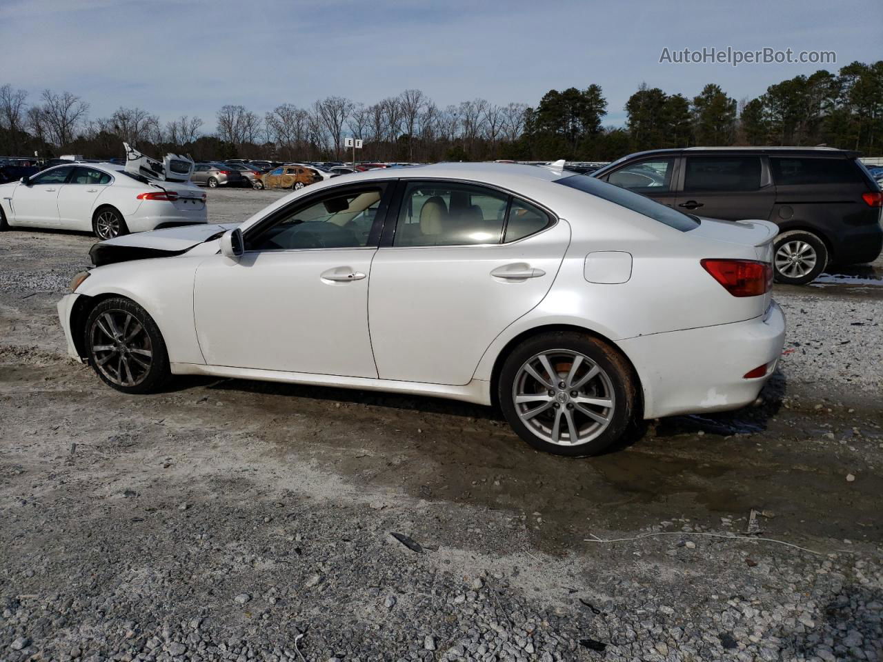 2007 Lexus Is 250 Белый vin: JTHBK262972042882