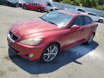 2007 Lexus Is 250 Бордовый vin: JTHBK262X72052949