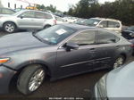 2013 Lexus Es 300h Серый vin: JTHBW1GG0D2023982