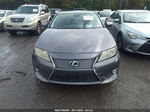 2013 Lexus Es 300h Gray vin: JTHBW1GG0D2023982