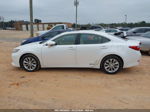 2013 Lexus Es 300h   Белый vin: JTHBW1GG0D2027594