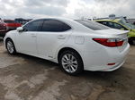 2014 Lexus Es 300h White vin: JTHBW1GG0E2039391