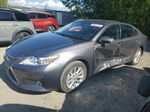 2014 Lexus Es 300h Gray vin: JTHBW1GG0E2051704