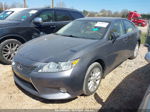 2013 Lexus Es 300h Gray vin: JTHBW1GG1D2002767