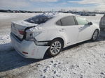 2013 Lexus Es 300h White vin: JTHBW1GG1D2012943