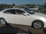 2013 Lexus Es 300h Hybrid White vin: JTHBW1GG1D2032870