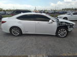 2013 Lexus Es 300h Hybrid White vin: JTHBW1GG1D2038359