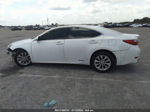 2013 Lexus Es 300h Hybrid Белый vin: JTHBW1GG1D2038359