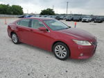 2014 Lexus Es 300h Maroon vin: JTHBW1GG1E2039240