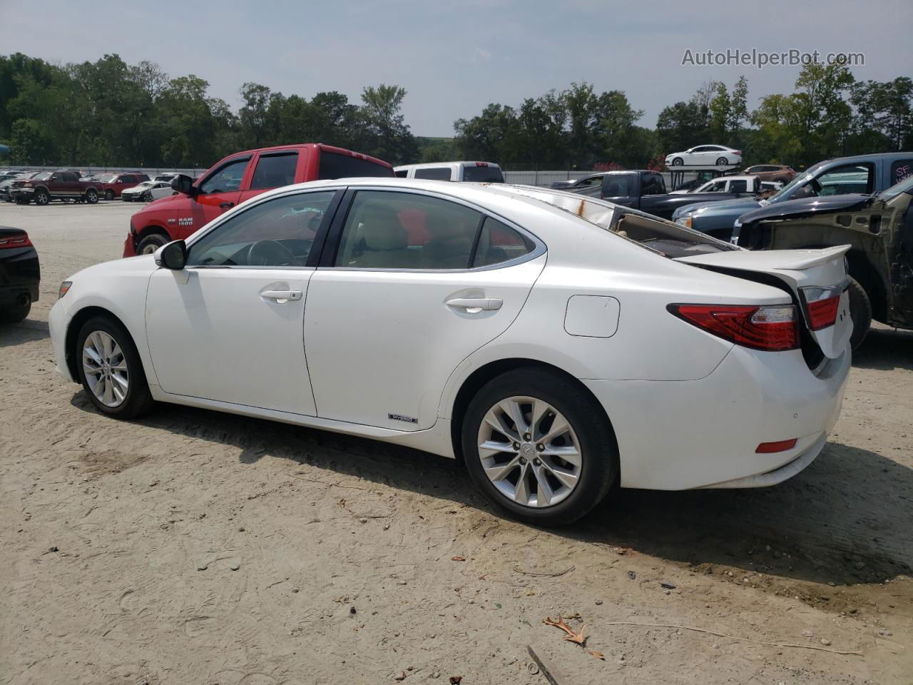 2014 Lexus Es 300h White vin: JTHBW1GG1E2049041