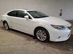 2014 Lexus Es 300h White vin: JTHBW1GG1E2059066