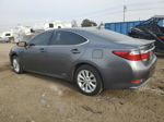 2014 Lexus Es 300h Gray vin: JTHBW1GG2E2046021