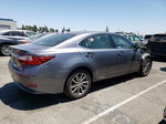 2016 Lexus Es 300h Gray vin: JTHBW1GG2G2109914