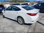 2013 Lexus Es 300h Белый vin: JTHBW1GG3D2009316